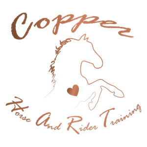 Copper HART Logo